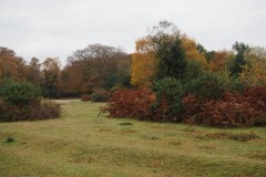 New Forest, RAF Stoney Cross