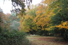 New Forest, RAF Stoney Cross