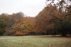 New Forest, RAF Stoney Cross