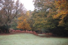 New Forest, RAF Stoney Cross