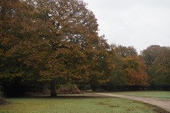 New Forest, RAF Stoney Cross