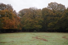 New Forest, RAF Stoney Cross