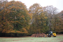 New Forest, RAF Stoney Cross