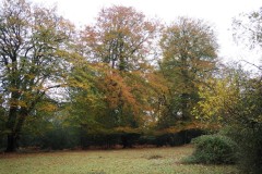 New Forest, RAF Stoney Cross