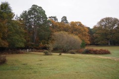 New Forest, RAF Stoney Cross