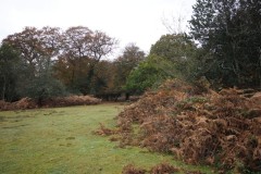 New Forest, RAF Stoney Cross