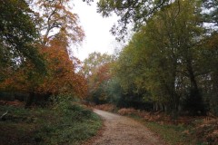 New Forest, RAF Stoney Cross