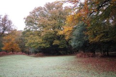 New Forest, RAF Stoney Cross