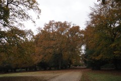 New Forest, RAF Stoney Cross