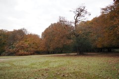 New Forest, RAF Stoney Cross