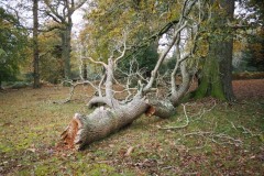 New Forest, RAF Stoney Cross