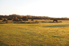 New Forest, RAF Stoney Cross